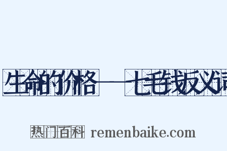 生命的价格－－七毛钱反义词是什么意思的图片